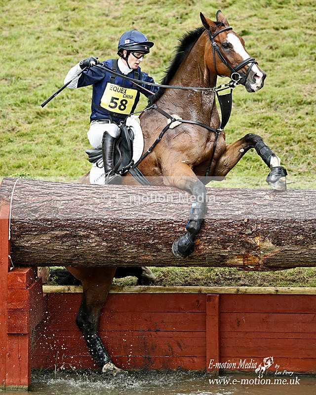 _LES3223a - Equestrian