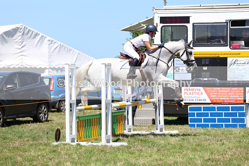 3E7A5630 - Class 9: Senior British Novice/90cm open