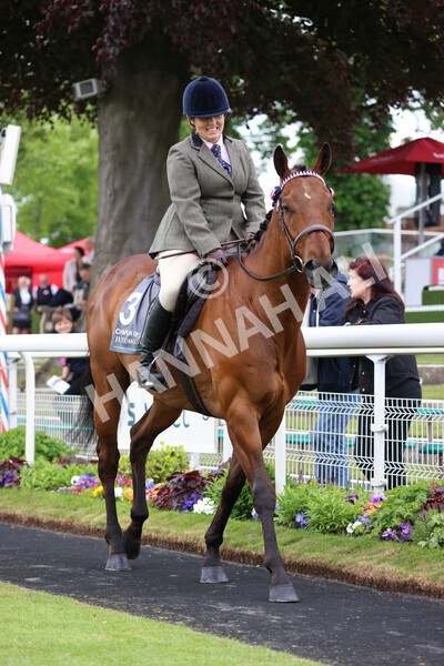 yr22052022r8e-82 - ROR - Parade Ring York