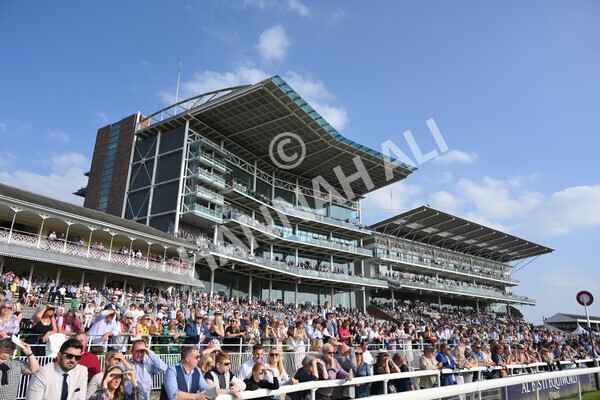 yr05092021r5-55 - Race 5 4.20pm Little Green Rascals Children's Nurseries Stakes