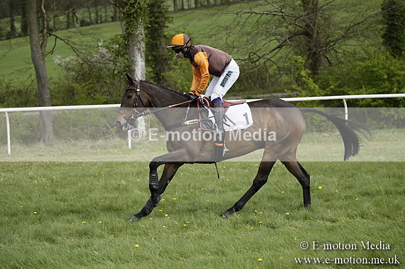 PtP 170417 152 - Old Berks Point-to-Point Lockinge 17/04/17