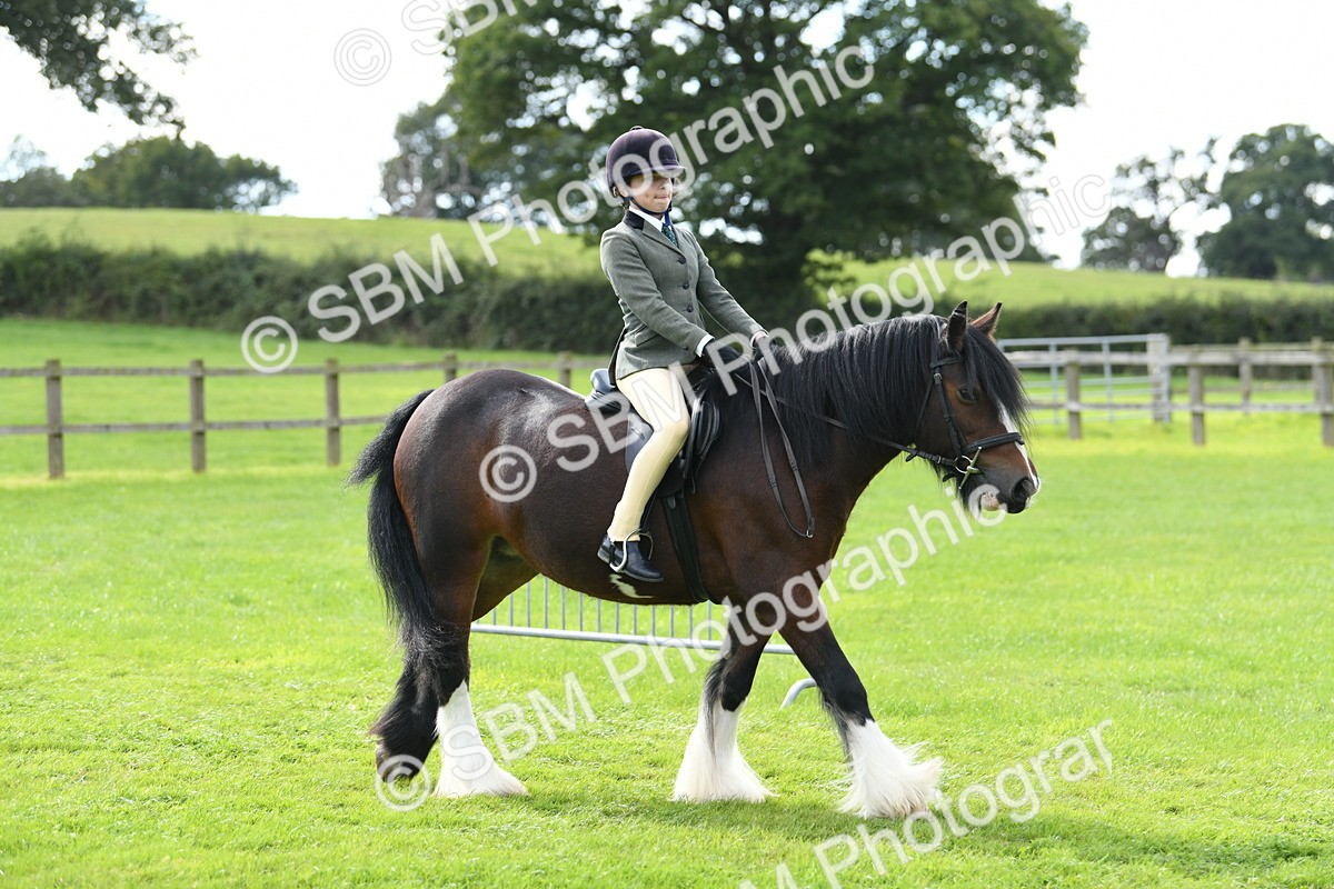 SBM_46684 - S12 - Family Horse & Pony