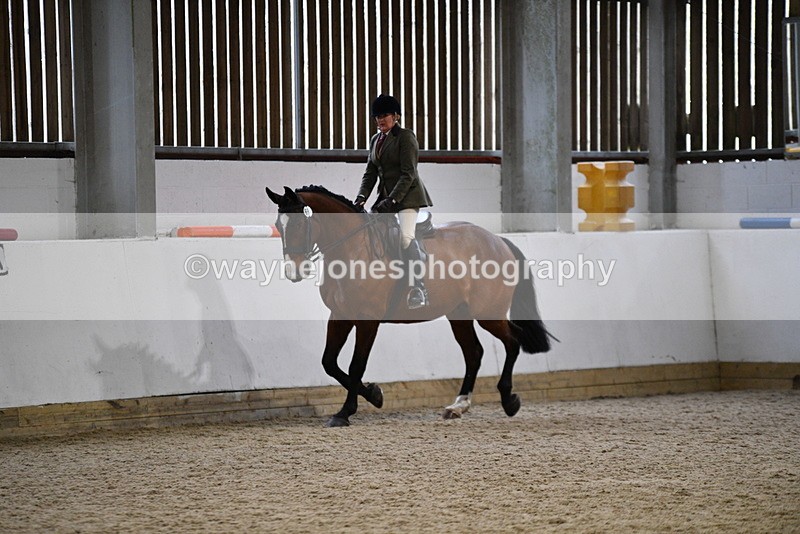 WJ5_8994 - Class 15 Ridden Show Horse