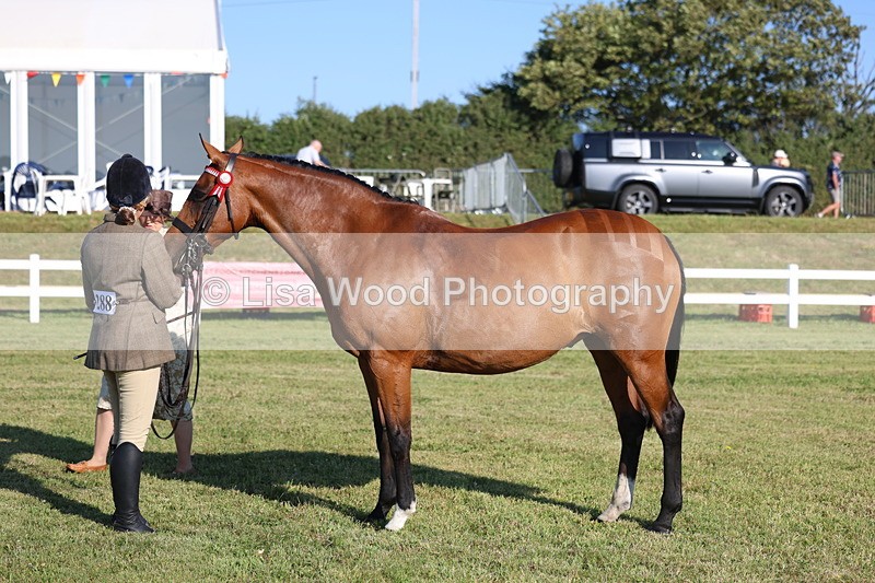 3E7A5116 - Class 1: Rising Star Small Hack/Riding Horses