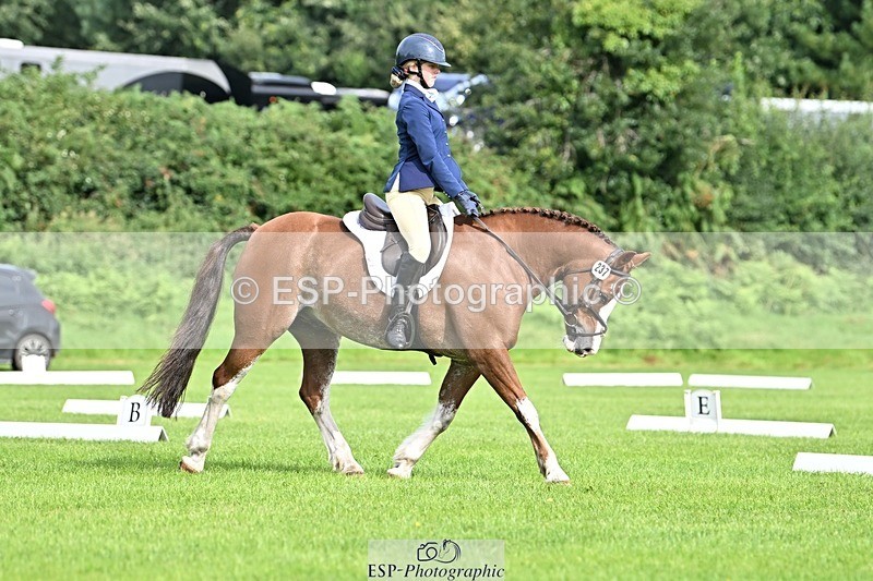 230826-100608-16369 - Sections A & B 10 to End