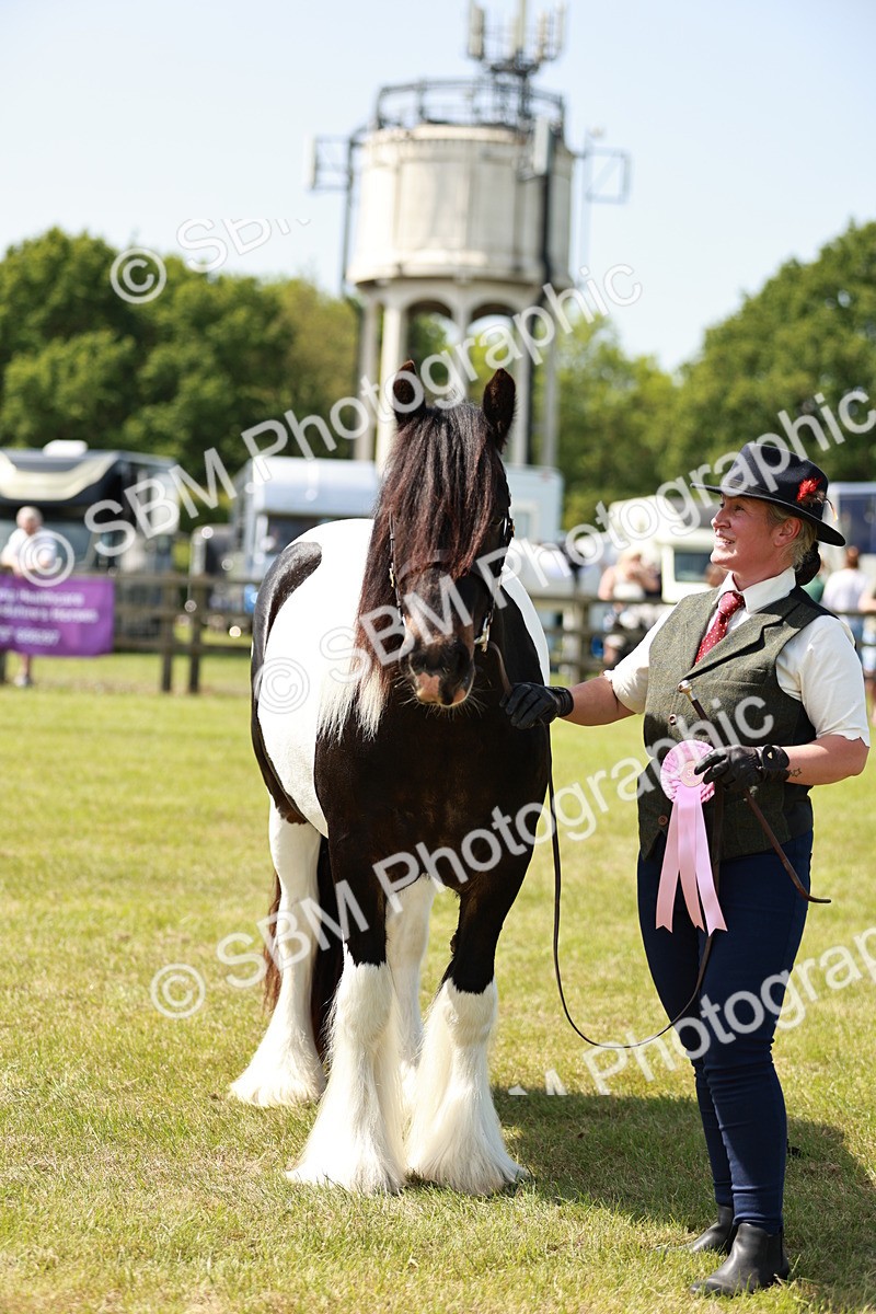 SBM_04279 - Class 39-40 - BSPA Coloured In Hand