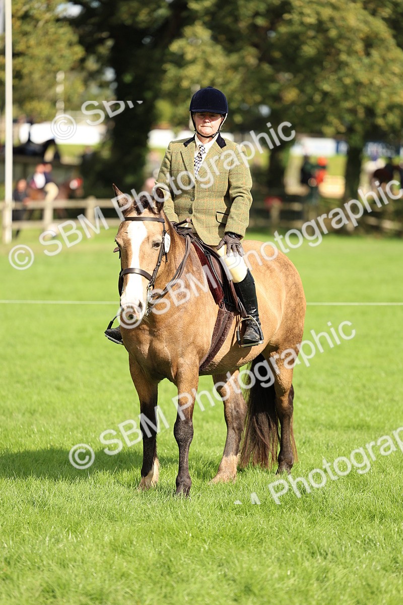 SBM_45552 - S33 - Working Hunter Pony