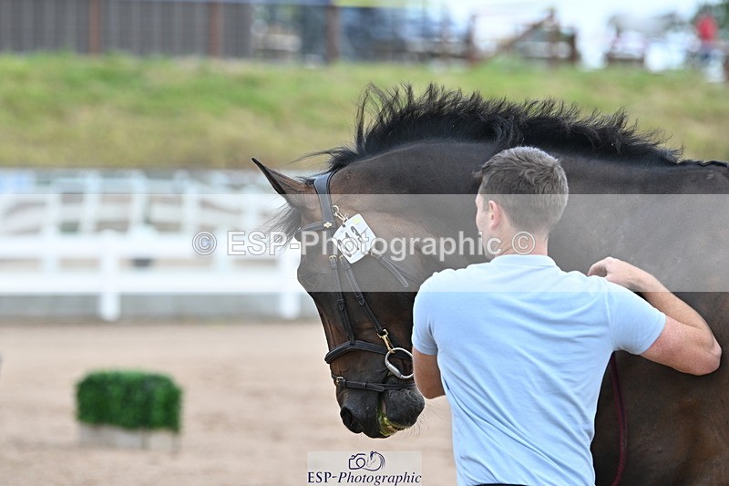 240717A-143259-02127 - Trot Up 2pm to 3pm - This folder is not in time order