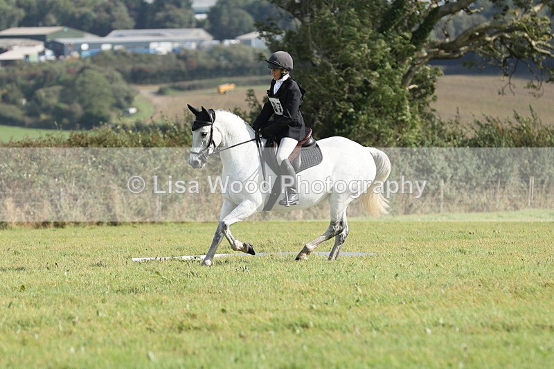 JPP_8080 - Class 2A: Trekenning Open: Dressage