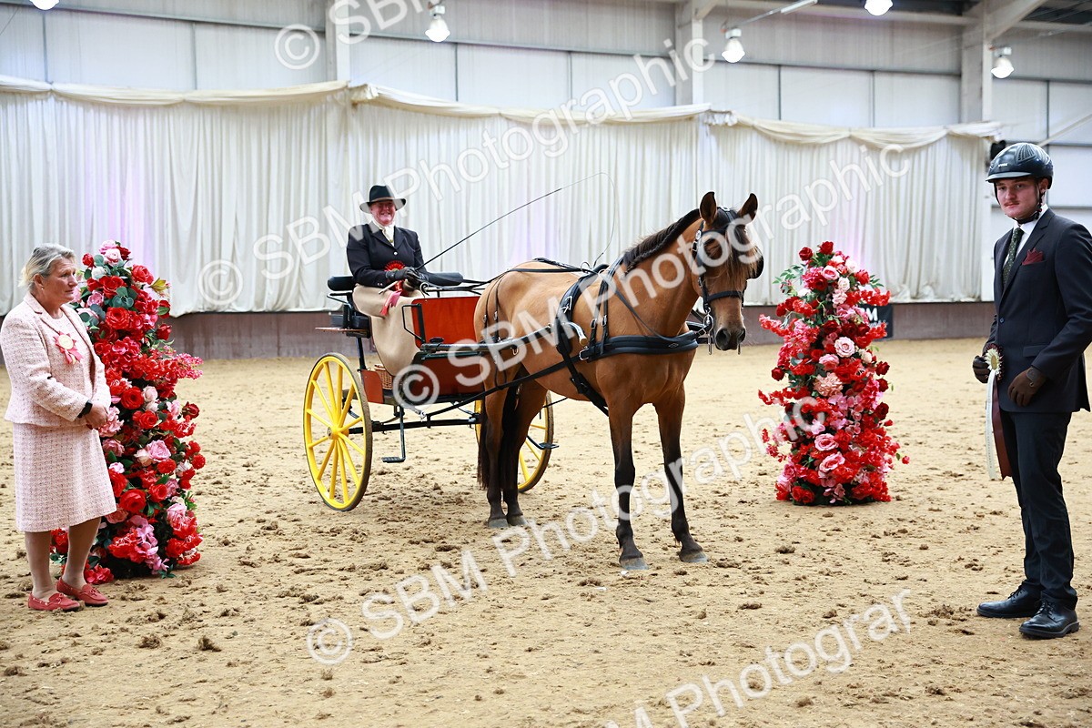 SBM_001077 - Class 15 - Open Showmans Class