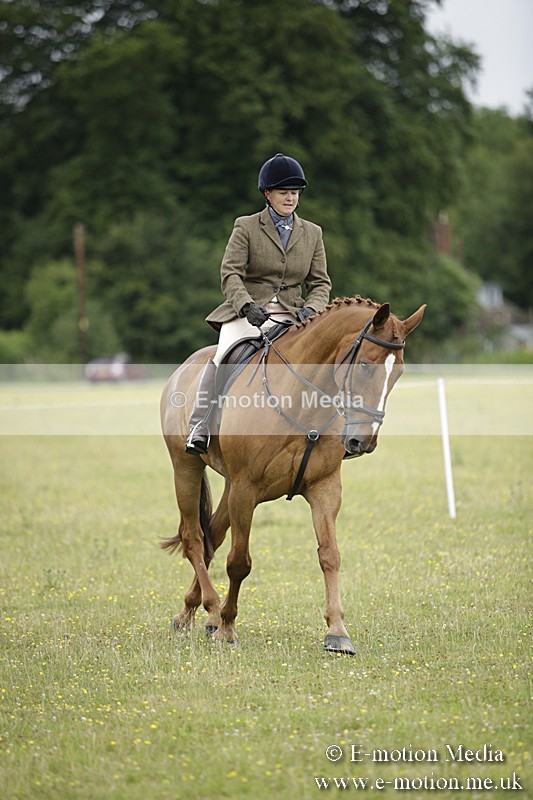 BVR160717-819 - Ring 1 BVRC Show 16/07/17