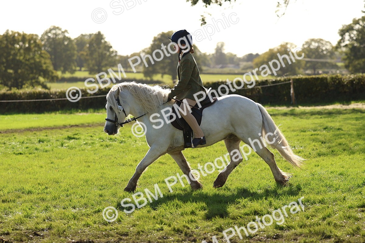 SBM_52445 - S13 - Pony Club Pony