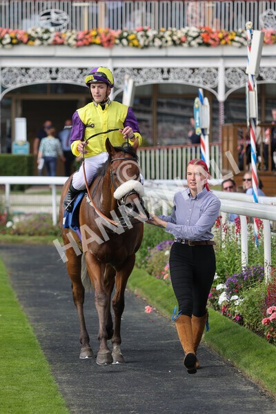 yr05092021r2-33 - Race 2 2.40pm John and Judith Marshall Memorial Stakes