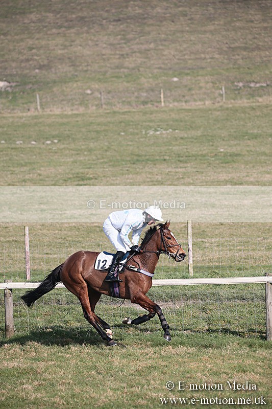 PtP 230219 250 - Vine & Craven Point-To-Point - Barbury 23/02/19