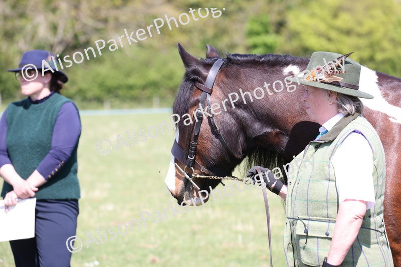 20250427-2992 - Class 27 - Coloured Horse and Pony