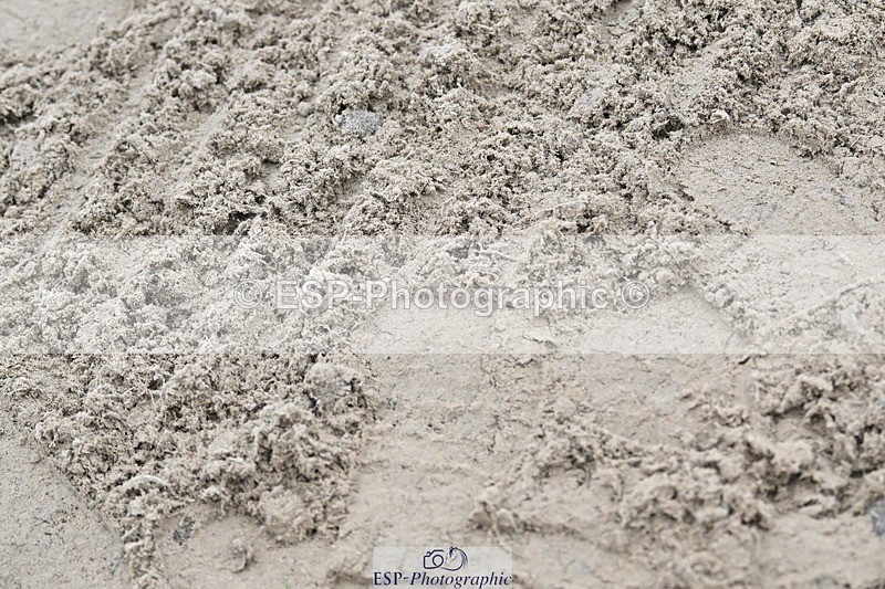 241103-151625-02781 - Novice 1 - 14.44 to 16.08