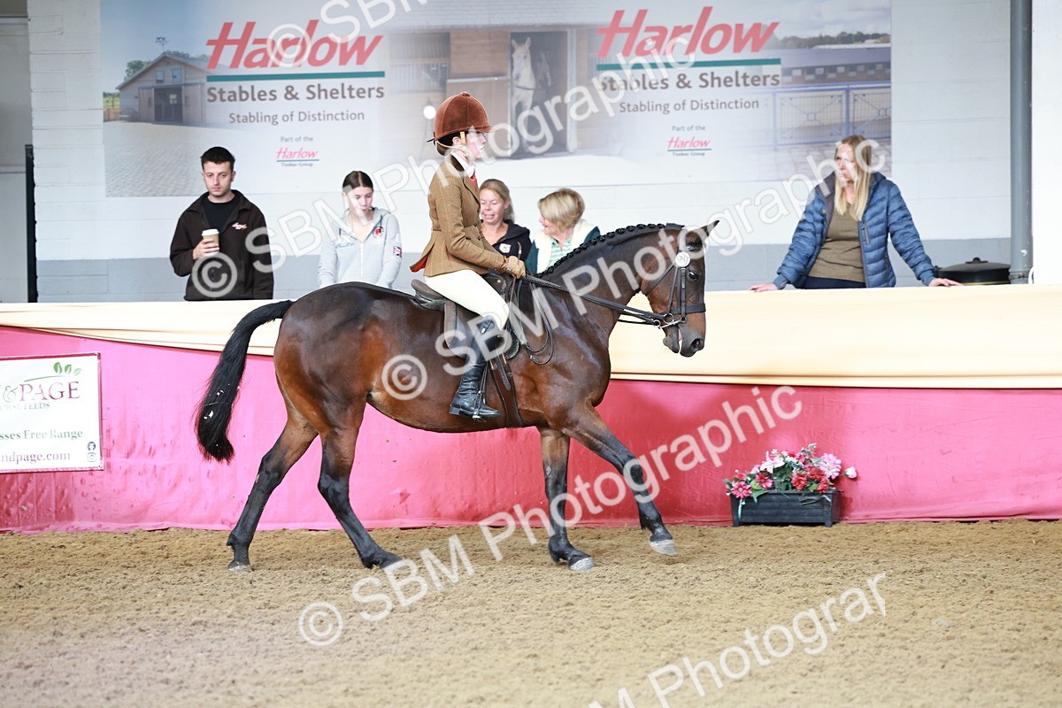 SBM_11921 - Class 102 - Equitation (Best Rider) Adult