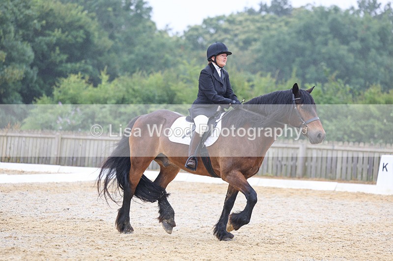 3E7A8450 - Class 2: Intro 3 2024 section B