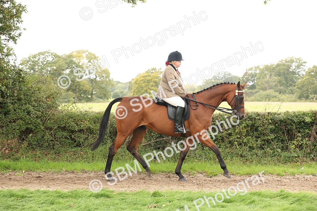 SBM_64183 - S65 - Riding Horse & Hack & Thoroughbred Ridden