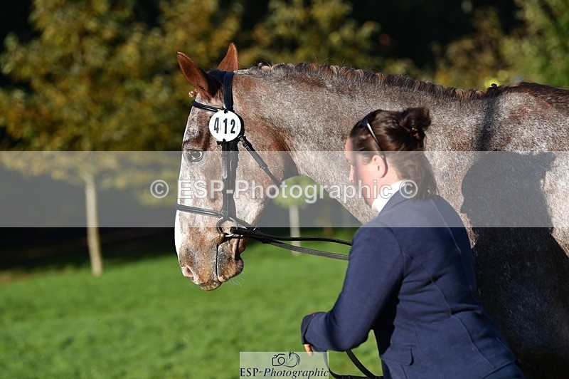 231022-093630-21914 - 412-KELTEK.LUDO-Tracey.Neville-TrotUp+SJ