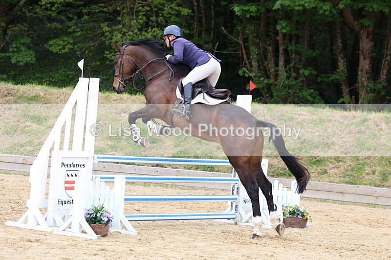 3E7A6241 - Class 4: Senior British Novice/90cm open