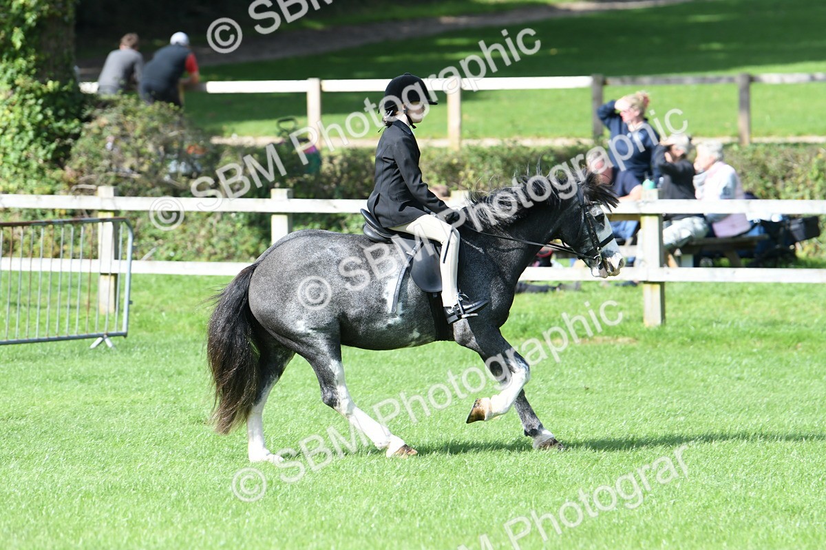 SBM_47088 - S12 - Family Horse & Pony