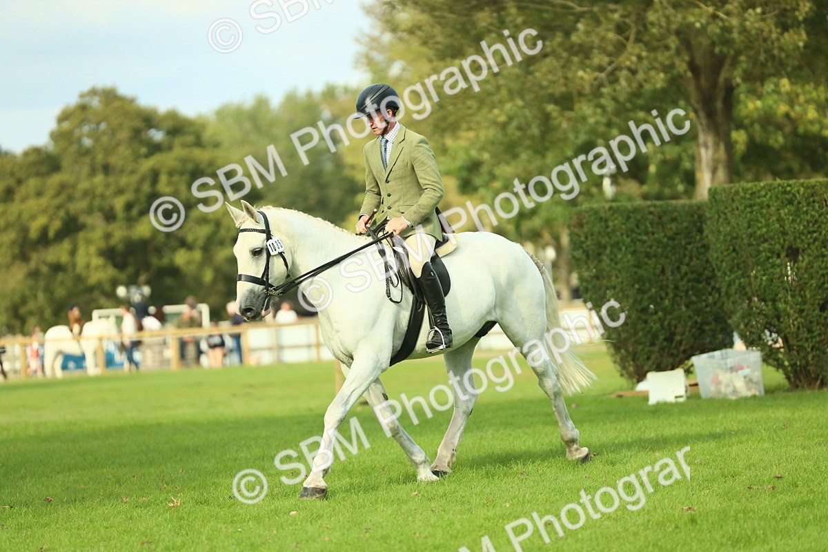 SBM_52109 - S33 - Working Hunter & Working Show Horse