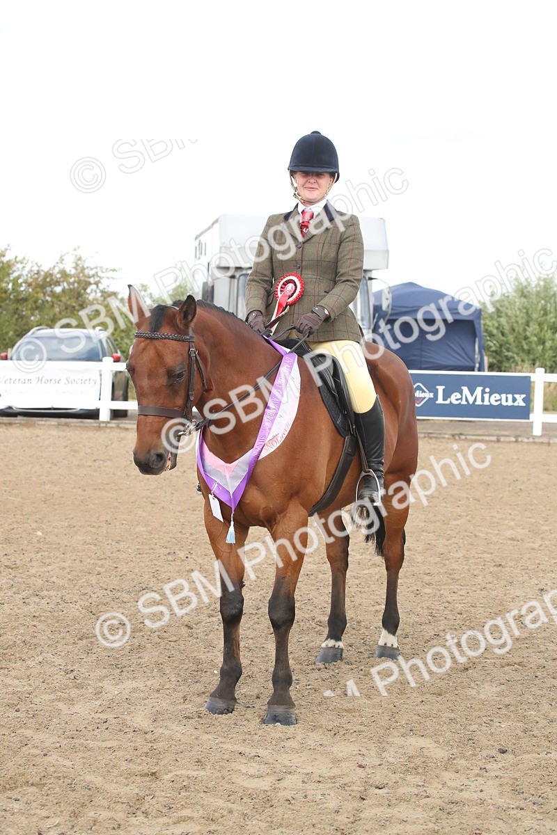 SBM_15242 - Class 506a - Working Veteran - 50cm (15-19)