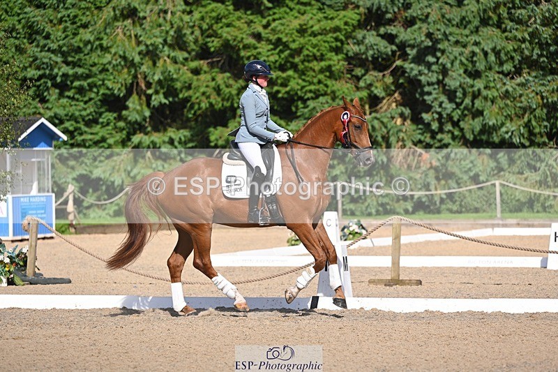 240809-163646-02439 - Novice Gold