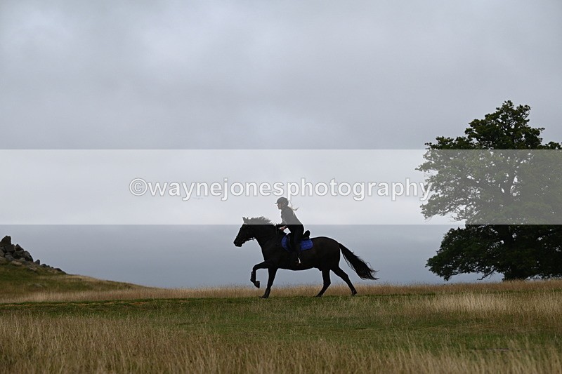 DSC_0517 - Time at Statue 09:51 to 10:54