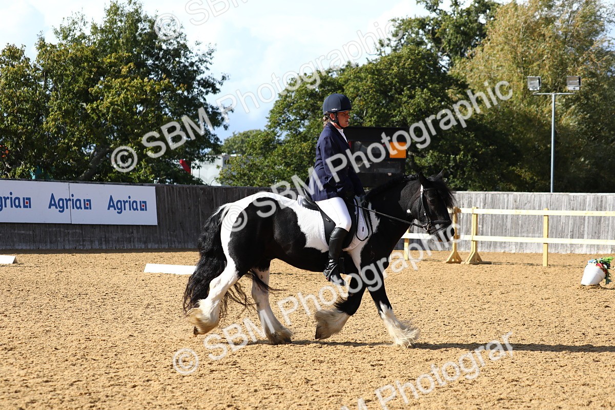 SBM_26787 - D11 - Small Tour Championship Prelim 1