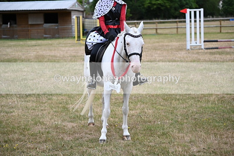 WJ6_4955 - Class 11 Fancy Dress