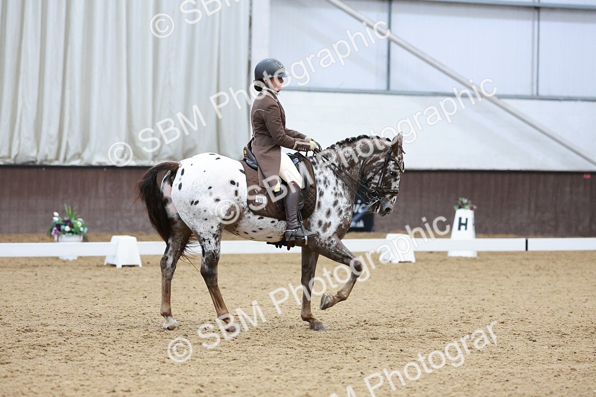 SBM_016579 - Class 5 - FEI INT II - 17.24-18.20