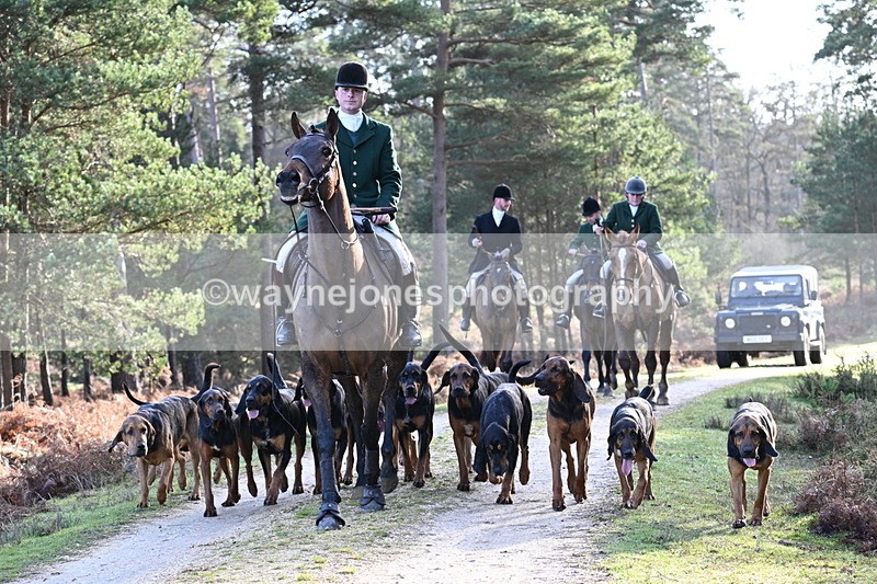 WJ7_7706 - Line 3 (no line 4 or 5)