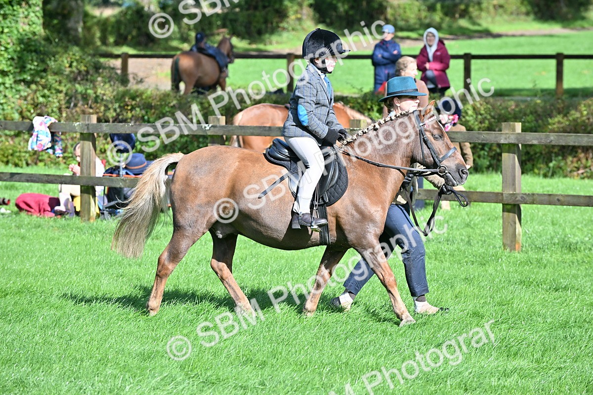SBM_37422 - S18 - Novice & Newcomer Lead Rein Pony
