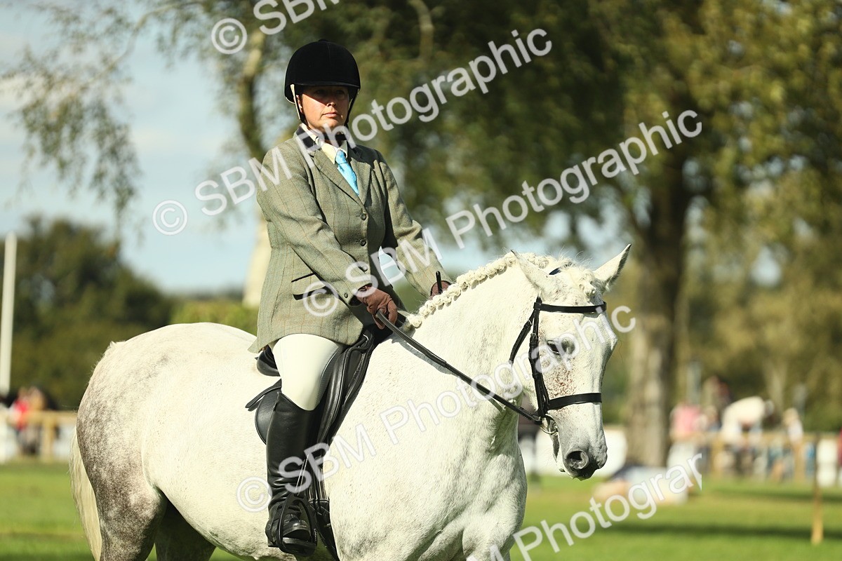 SBM_48068 - S32 - Novice & Newcomers Working Hunter