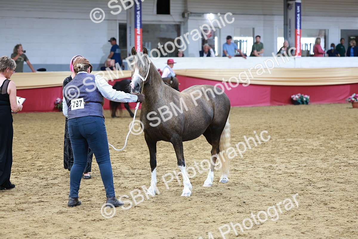 SBM_17450 - Class 951 - M&M IH Supreme Final