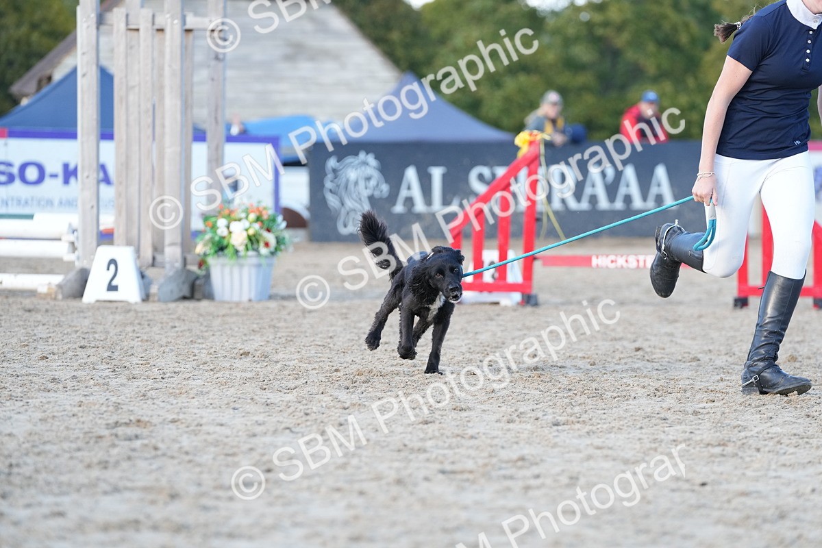 SBM_29065 - J43 - Horse & Hound Open 50cm