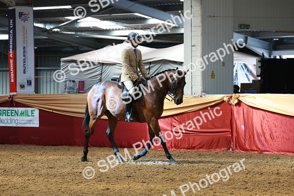 SBM_14927 - Class 108 - Ridden Retired Racehorse