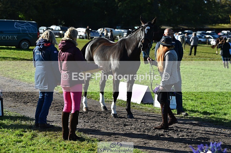 231022-111348-23820 - 565-LITTLE.M.II-Charlotte.Radley-TrotUp+SJ