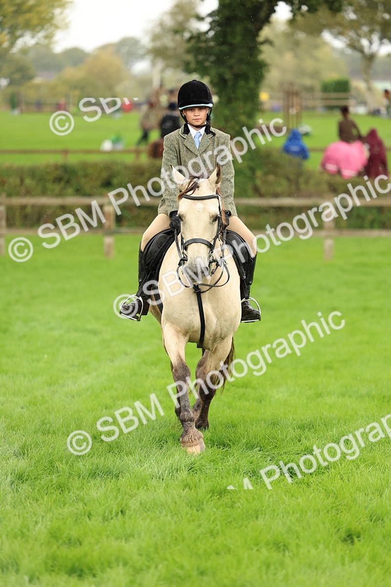 1I0A1496 - S32 - Mountain & Moorland Working Hunter Pony
