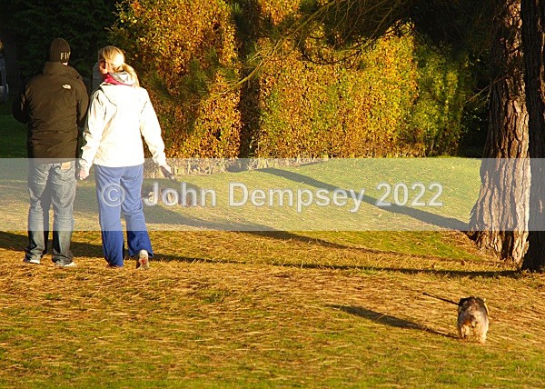 Cassie 1 - Walking the Dog