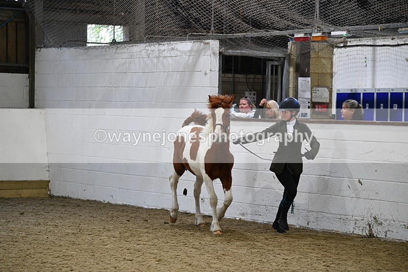 WJ5_3424 - Class 1 Youngstock