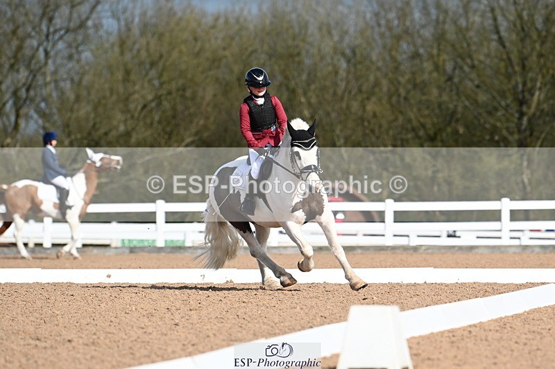 240323A-102042-01155 - MyQuest Prelim 12