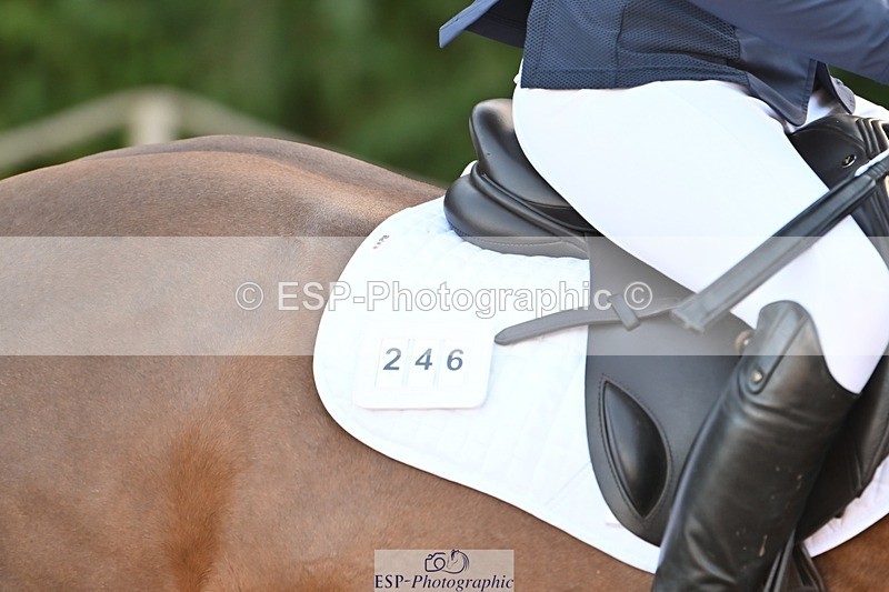 231022-101918-23300 - 246-NEDS.LEGACY-Araminta.Spencer-Churchill-SJ