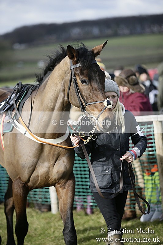 PtP 040218 18 - Point-to-Point Milborne St Andrew 04/02/18