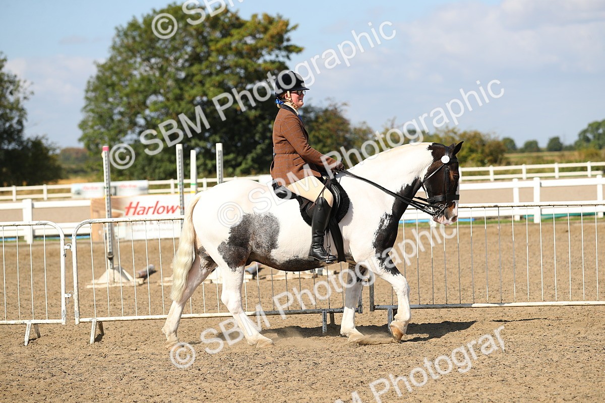 SBM_03105 - Class 44 Riding Club Horse/ Pony