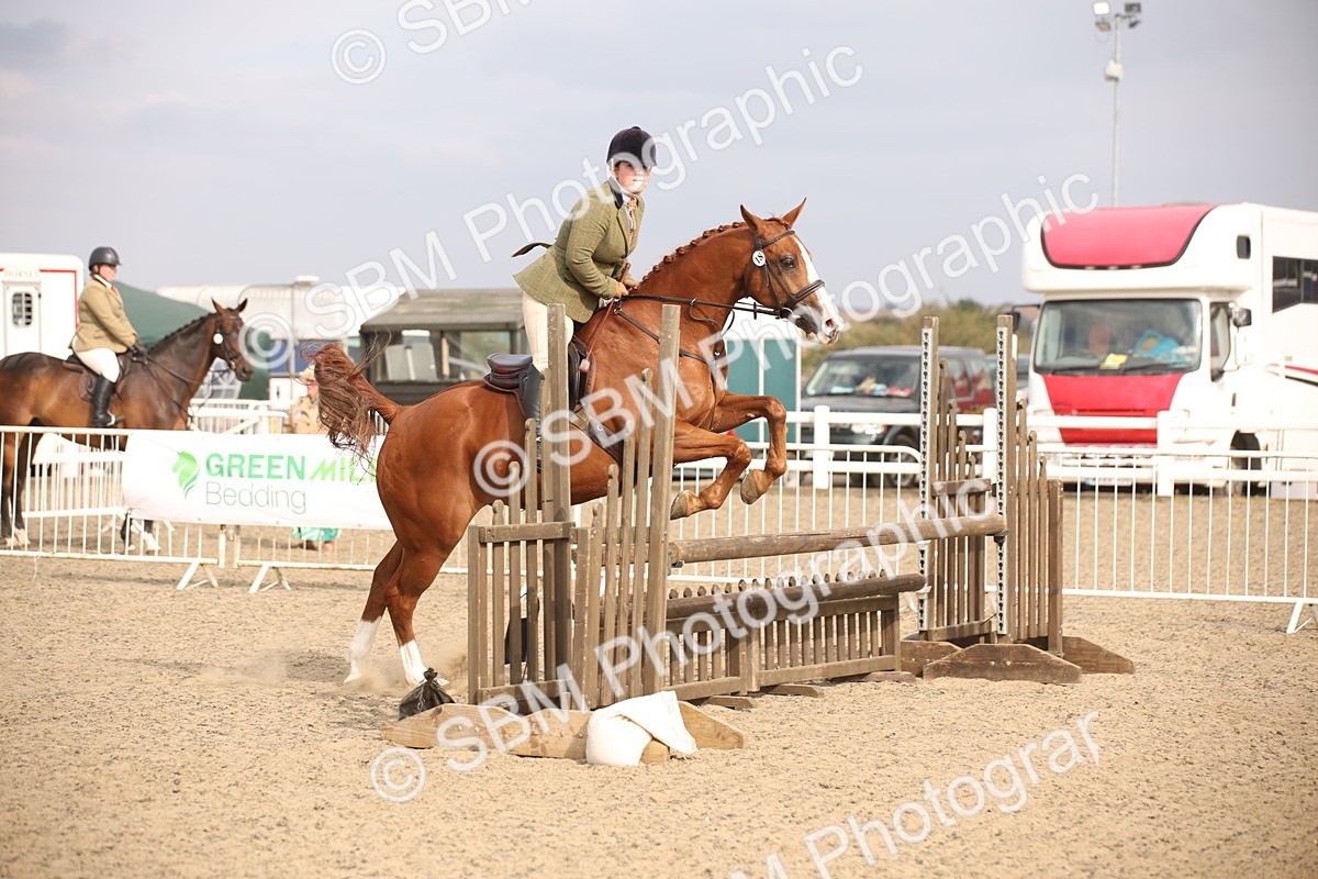 SBM_17309 - Class 410a - Wor5king Veteran 90cm (15-19)