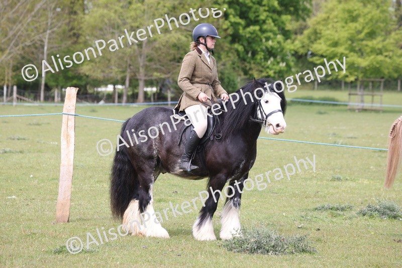 20260426-2888 - Class 33 - Best Pony 14.2hh and Under