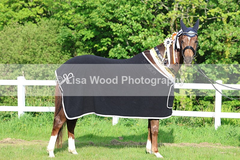 3E7A0229 - Verity Perry